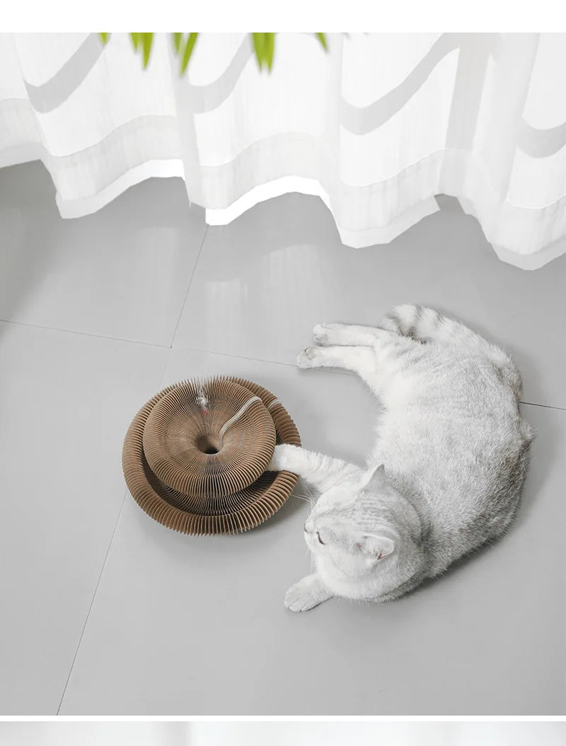 Cat Foldable Magic Organ Cat Scratching