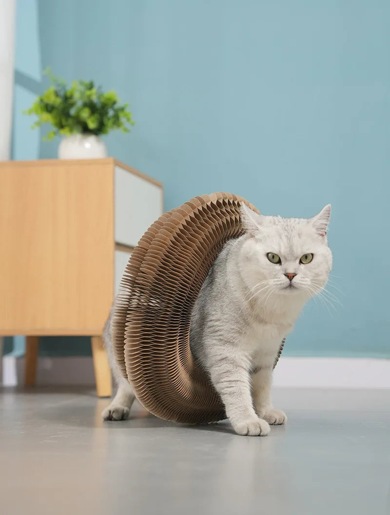 Cat Foldable Magic Organ Cat Scratching