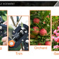 Pruning Shears