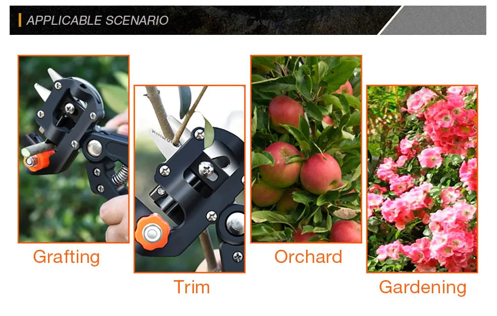 Pruning Shears
