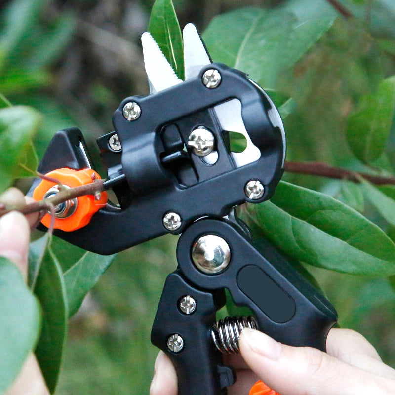 Pruning Shears